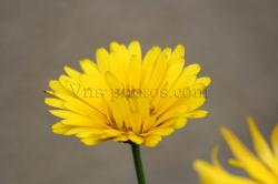 img-3294-1.jpg