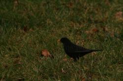 img-5284.jpg