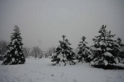 neige-2.jpg